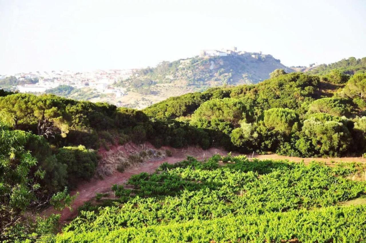 Villa Fabulosa Quinta Do Vento Palmela